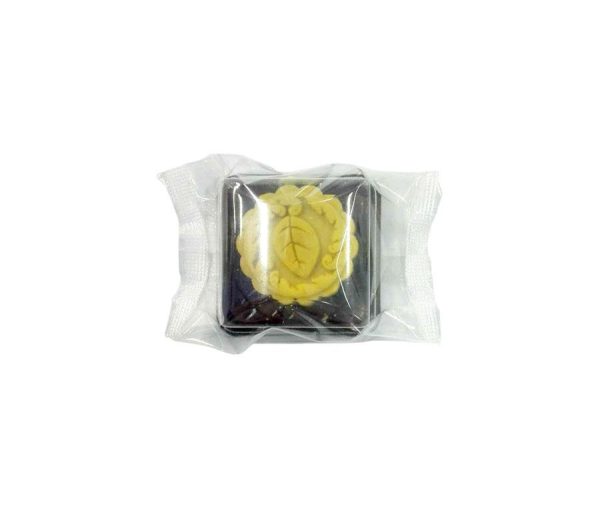 BOSW BOX MOTION PACKING MACHINE